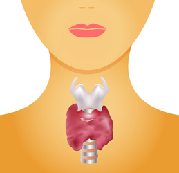 Θυροεειδοπάθεια - Thyroid Disease